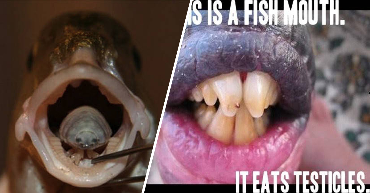 These Horror Stories From Nature Will Make Your Skin Crawl! #13 TERRIFYING!