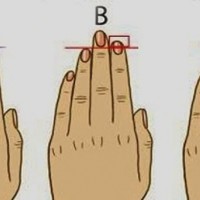 Here’s What Your Finger Length Reveals About Your Personality. Mine Is So True!!!