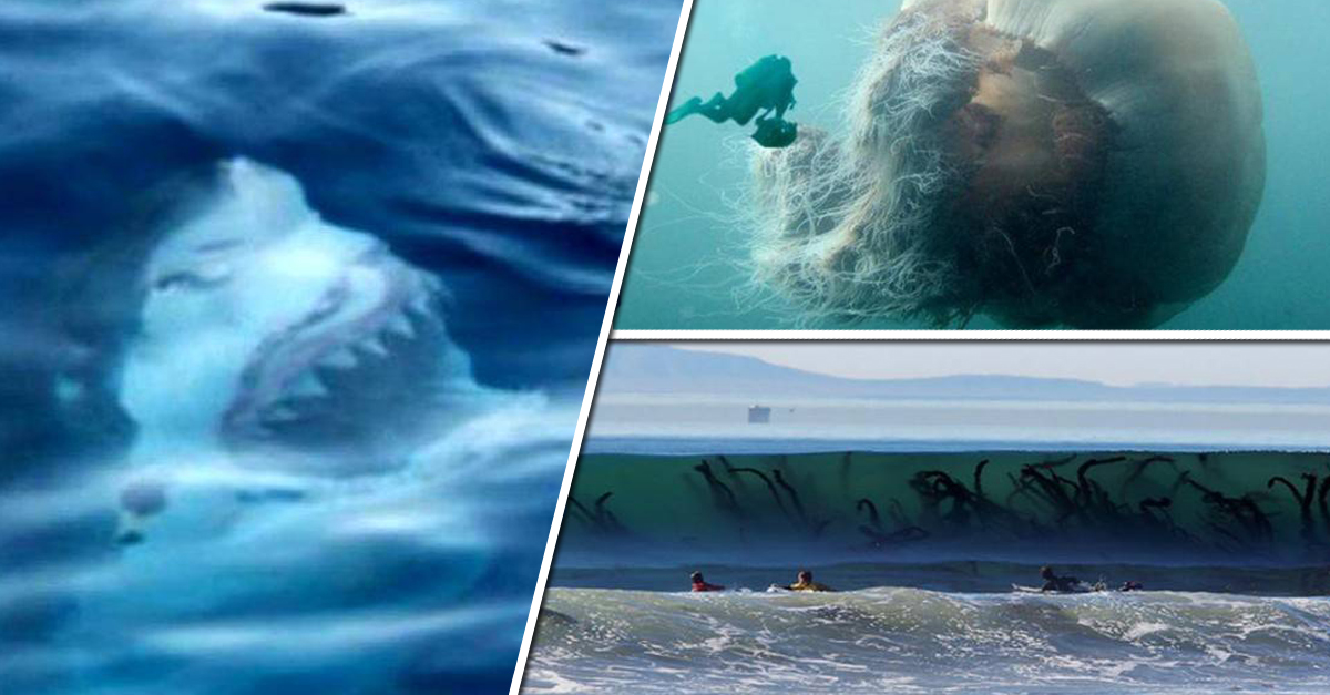 These 12 Terrifying Pictures Will Make You Question Your Love For The Ocean. #NOPE