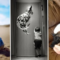 25 Photos Which Show Why Every Child Should Have A Pet. #10 Is My Favorite!